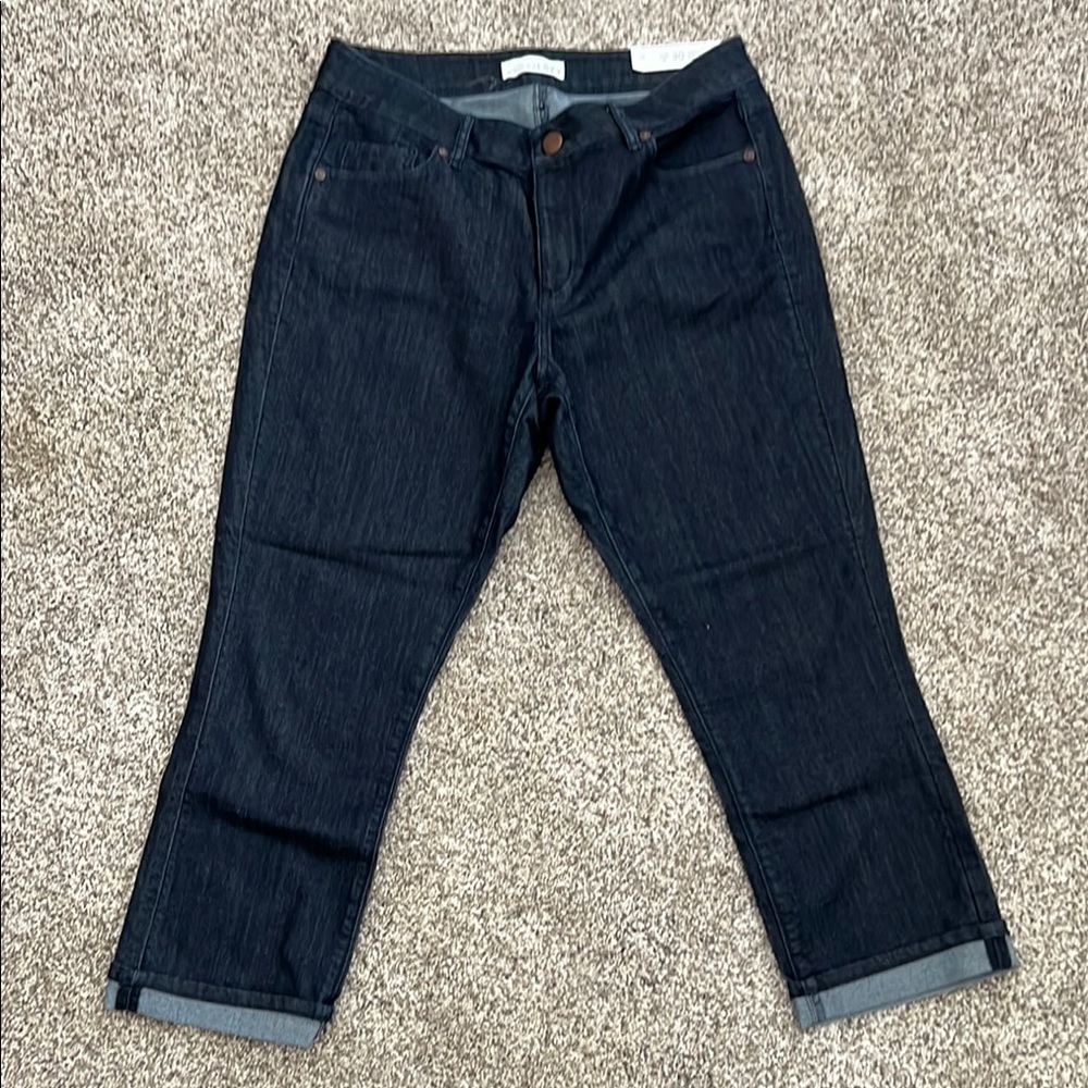LOFT Blue Ankle Cropped Jeans Classic Fit
